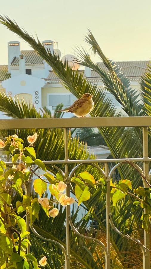 Amazing 2 Bedroom Apartment Near Beach With Pool Lagos Extérieur photo